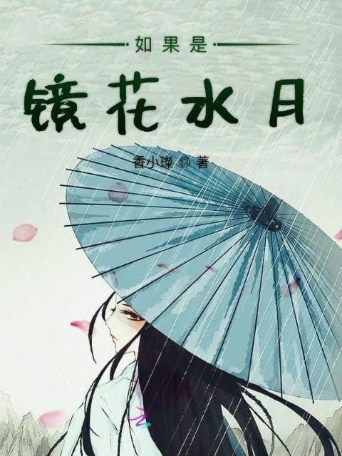 如果是镜花水月