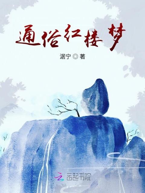 通俗红楼梦