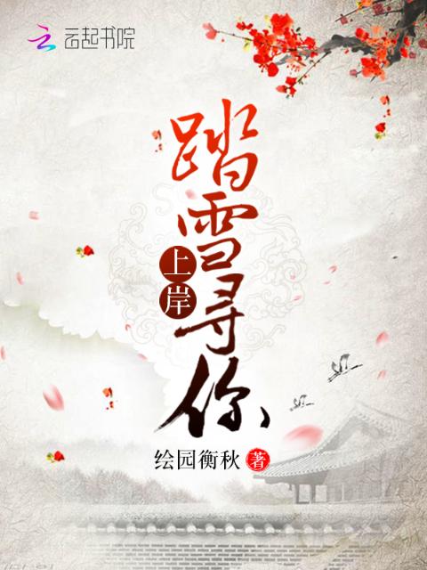上岸踏雪寻你