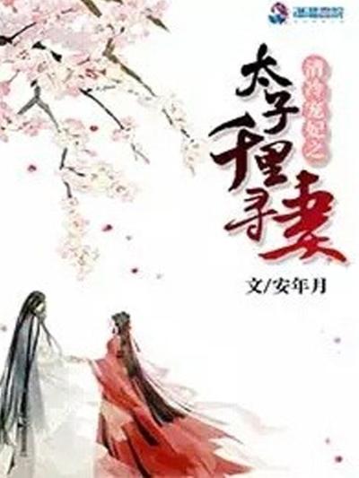 清冷宠妃：太子千里寻妻