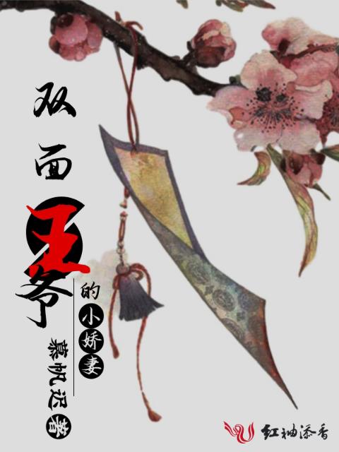 双面王爷的小娇妻