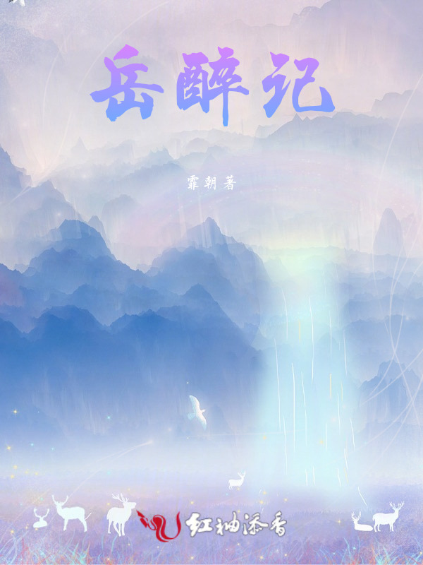 岳醉记