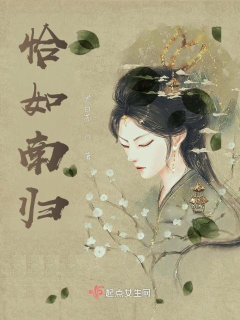 恰如南归