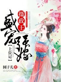 盛宠强嫁：摄政王上位记