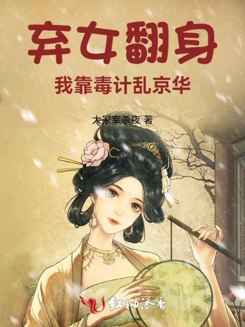 弃女翻身：我靠毒计乱京华
