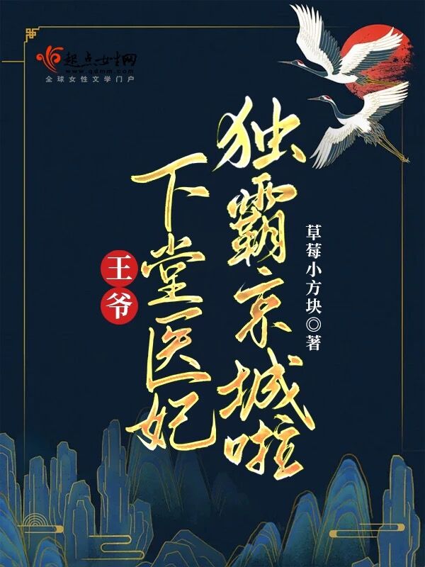 王爷，下堂医妃独霸京城啦