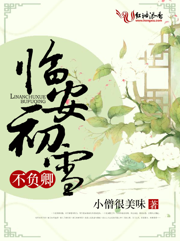 临安初雪不负卿