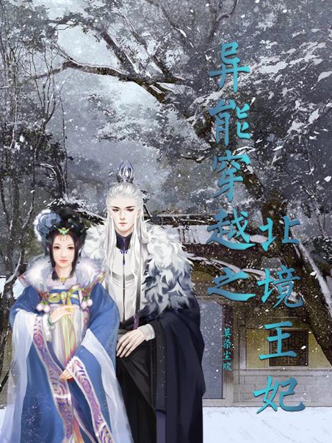 异能穿越之北境王妃