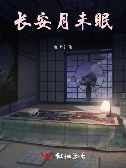 长安月未眠