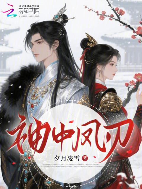 袖中凤刃