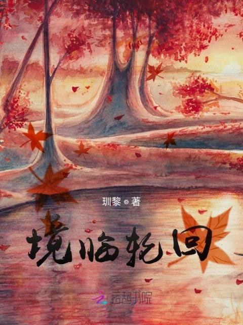 境临轮回