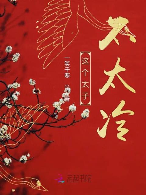 这个太子不太冷