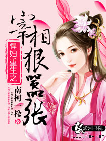 悍妇重生之宰相狠嚣张