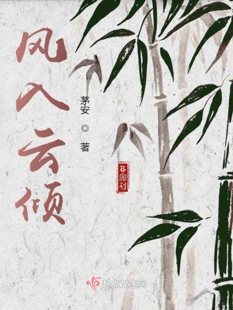 风入云倾
