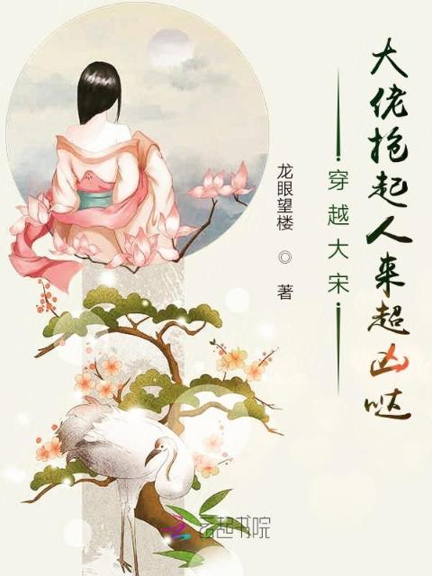 穿越大宋，大佬抢起人来超凶哒
