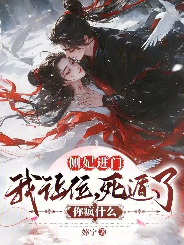 侧妃进门我让位，死遁了你疯什么