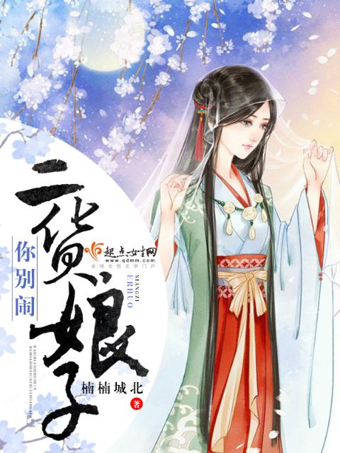 二货娘子，你别闹