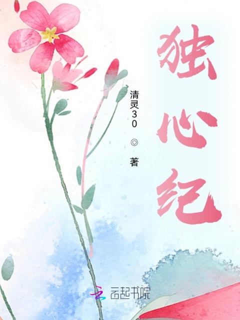独心纪