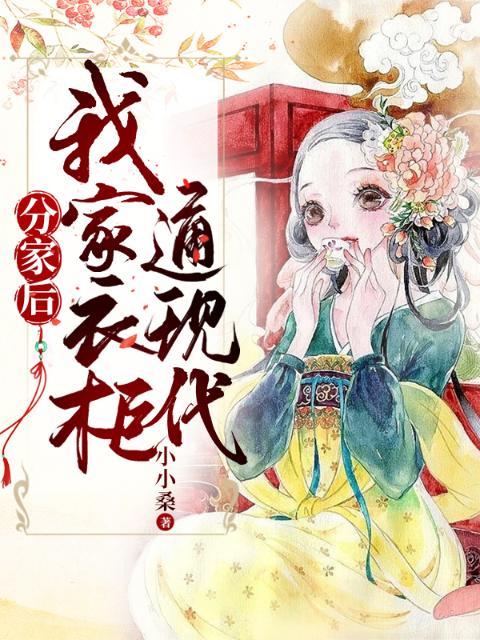 分家后，我家衣柜通现代