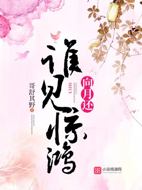 谁见惊鸿向月还