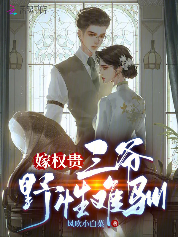 嫁权贵：三爷野性难驯