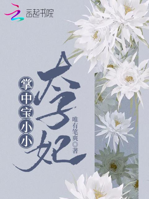 掌中宝小小太子妃
