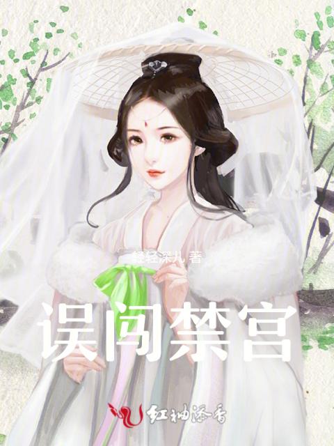误闯禁宫