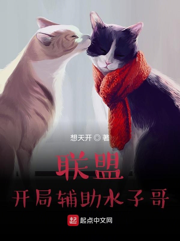 联盟：开局辅助水子哥