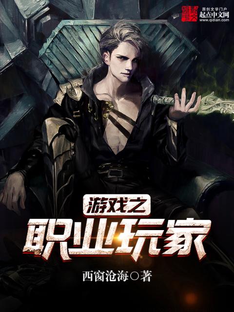 家庭奇缘小说全集