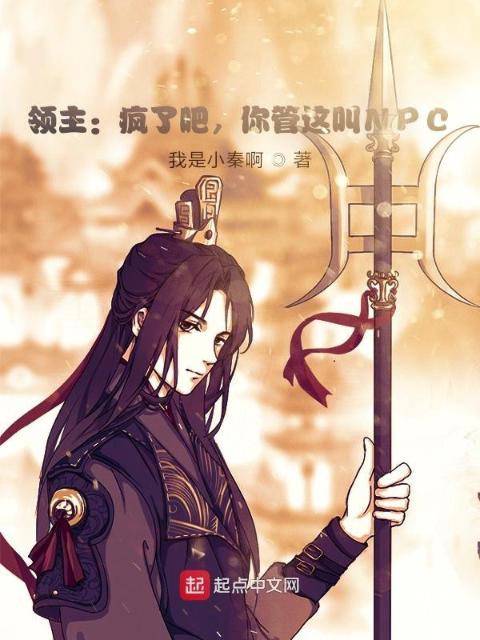 领主：疯了吧，你管这叫NPC？