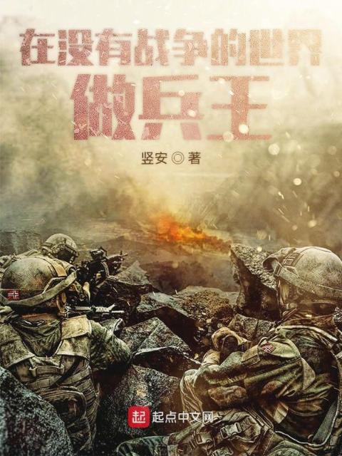 在没有战争的世界做兵王