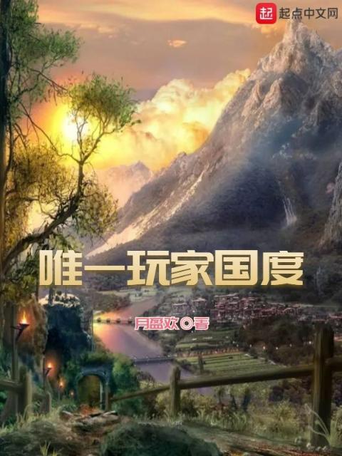 唯一玩家国度
