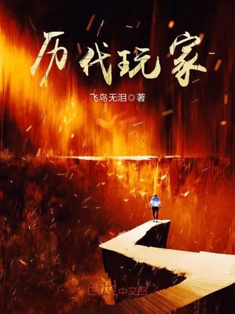 历代玩家