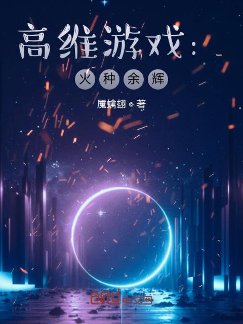 高维游戏：火种余辉