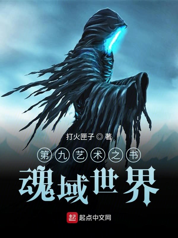 第九艺术之书魂域世界