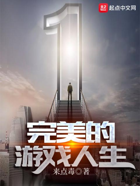 完美的游戏人生