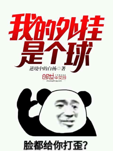 我的外挂是个球