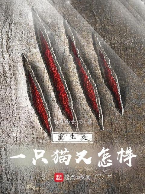 重生是一只猫又怎样