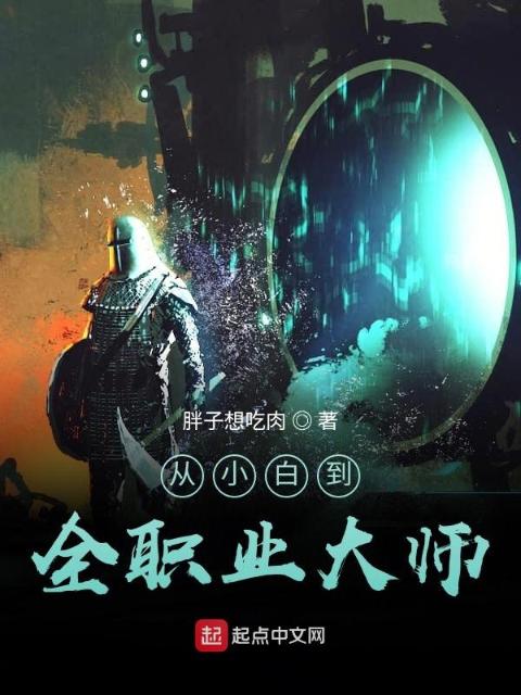 从小白到全职业大师