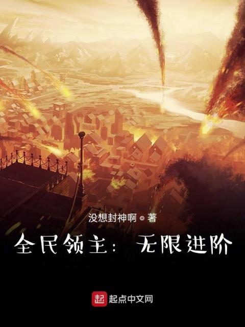 全民领主：无限进阶