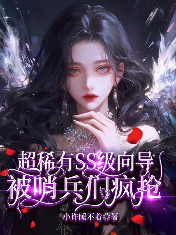 超稀有SS级向导，被哨兵疯抢