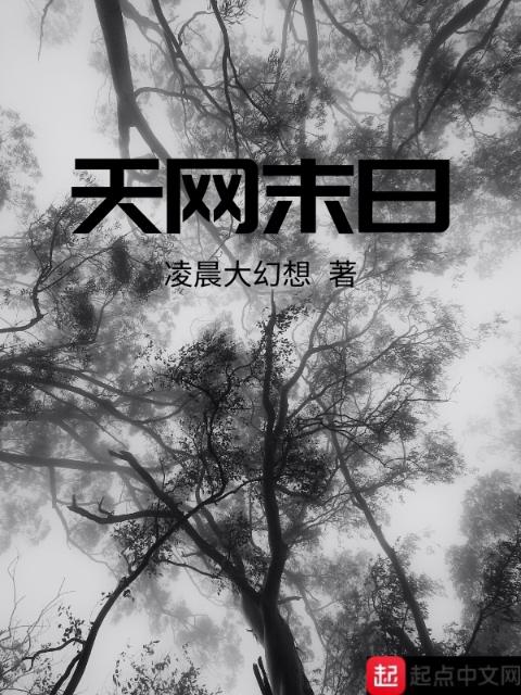 天网末日