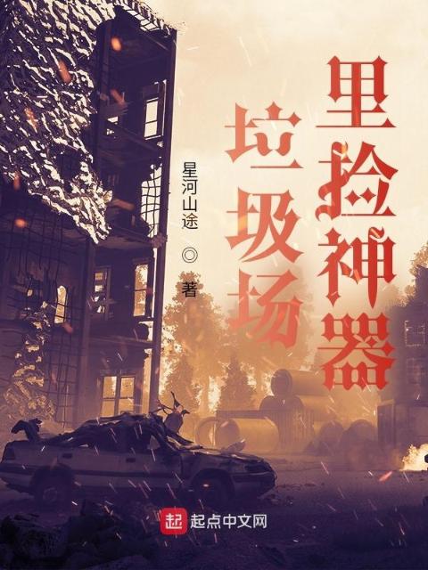 垃圾场里捡神器