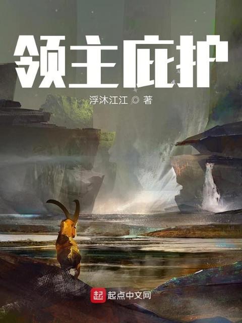 领主庇护
