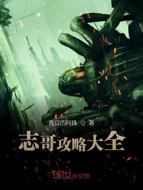志哥攻略大全