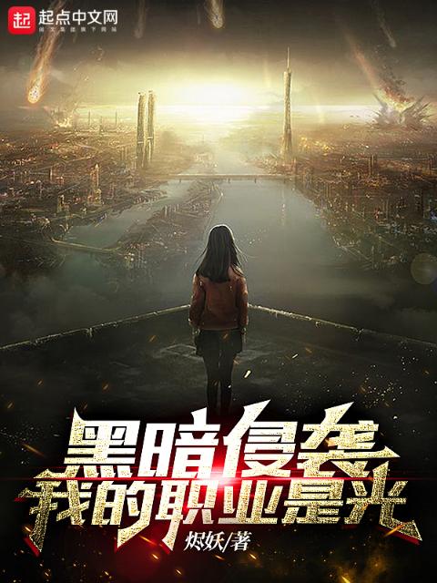 黑暗侵袭，我的职业是光