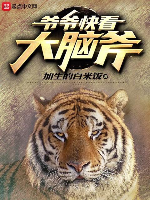 爷爷快看大脑斧