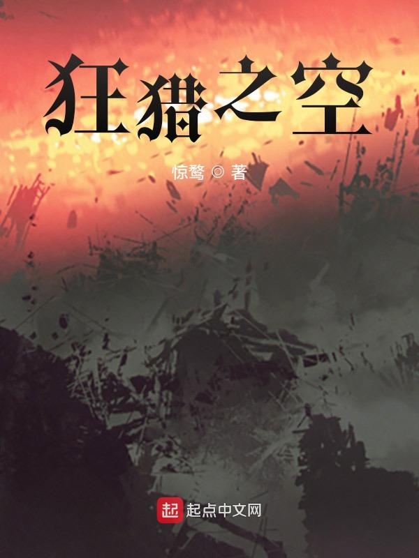 狂猎之空