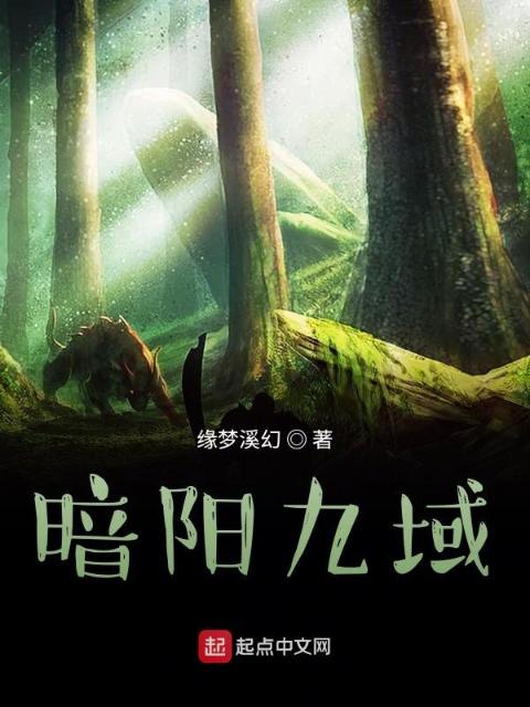 暗阳九域
