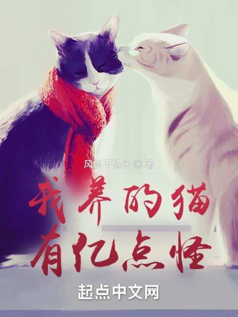 我养的猫，有亿点怪